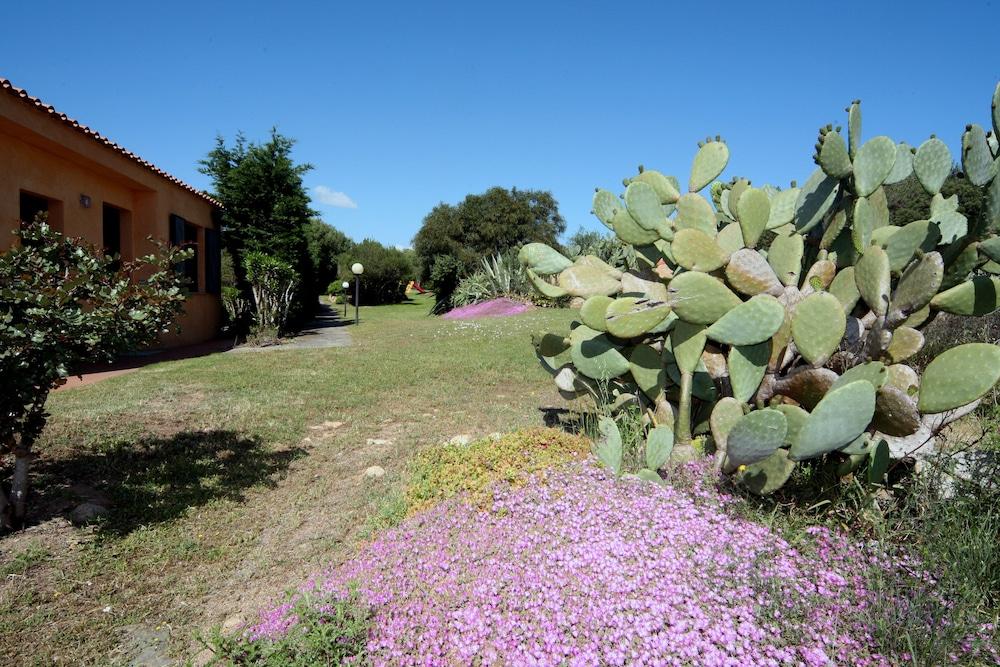 Residence Baia Salinedda Capo Coda Cavallo Eksteriør billede