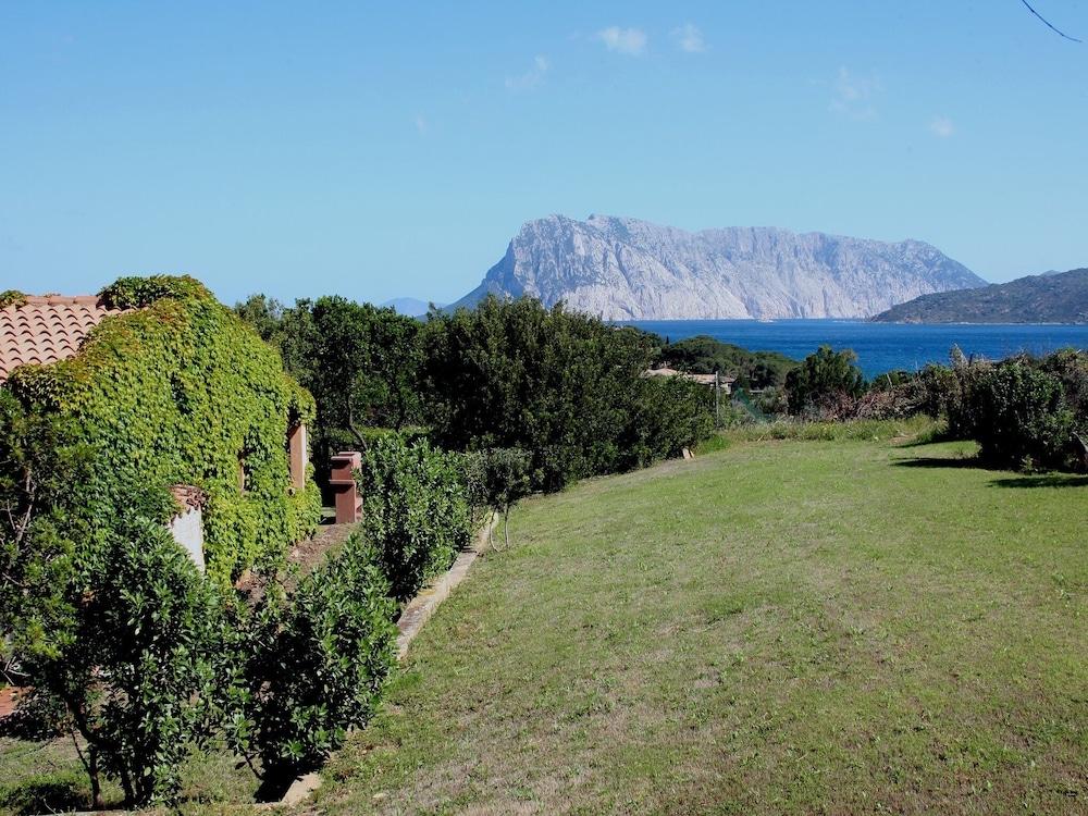 Residence Baia Salinedda Capo Coda Cavallo Eksteriør billede