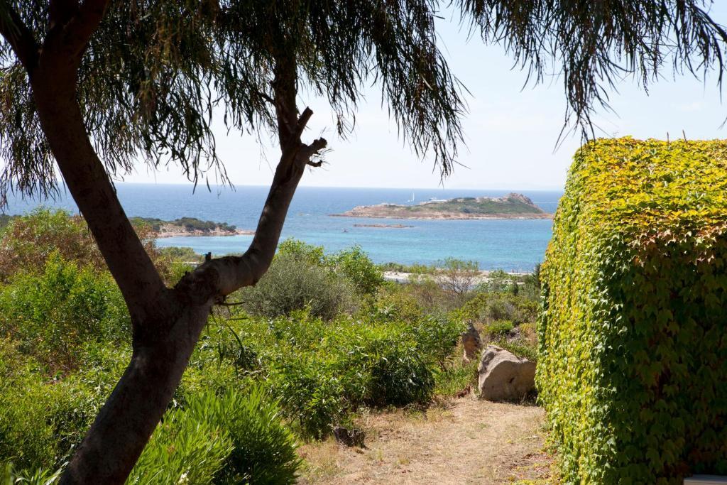 Residence Baia Salinedda Capo Coda Cavallo Værelse billede